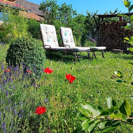 Apartamento Loft Eifel Idylle Nettersheim Exterior foto