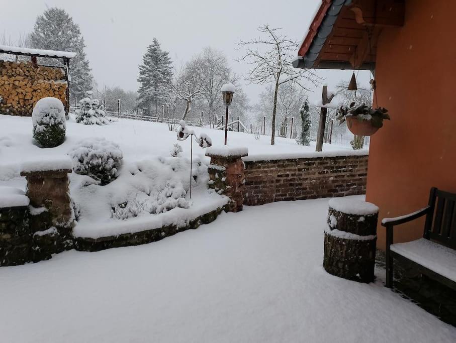 Apartamento Loft Eifel Idylle Nettersheim Exterior foto