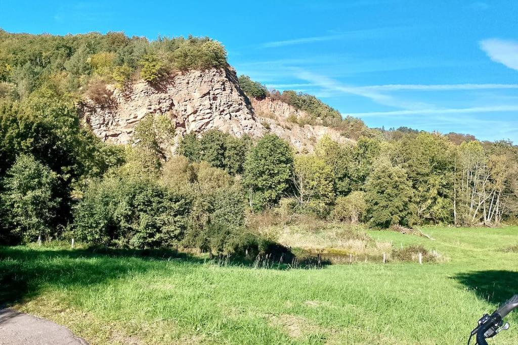 Apartamento Loft Eifel Idylle Nettersheim Exterior foto